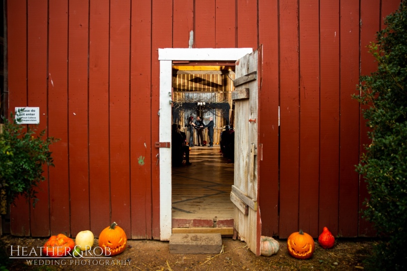 Allie & Nick Markoff's Haunted Forest Wedding