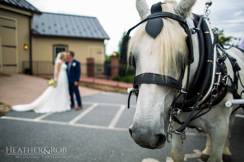 Courtney-Tim-Wedding-Ironstone-Ranch-Elizabethtown-PA-120