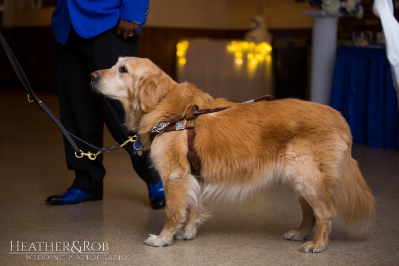 Elizabeth-Brandon-Wedding-Sneak-Peek-171