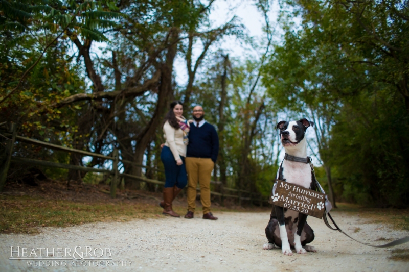 Beach Engagement Photos by Heather & Rob Wedding Photography