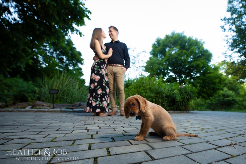 Engagemnt Photos at the Howard County Conservancy by Heather & Rob Wedding Photography