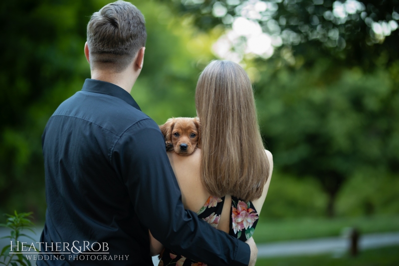 Engagemnt Photos at the Howard County Conservancy by Heather & Rob Wedding Photography