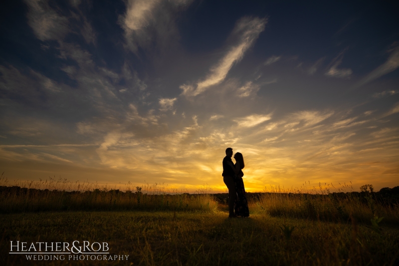 Engagemnt Photos at the Howard County Conservancy by Heather & Rob Wedding Photography