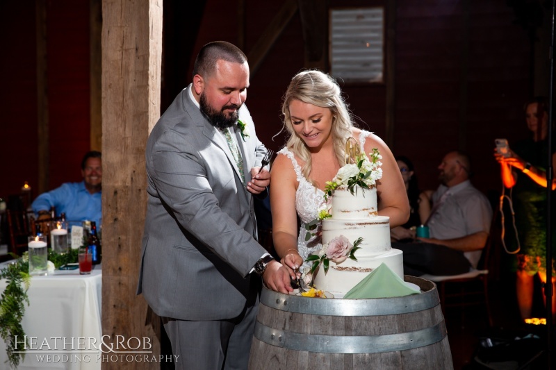 Kayla-Hayden-Wedding-Dulaney-Overlook-Frederick-Maryland-161