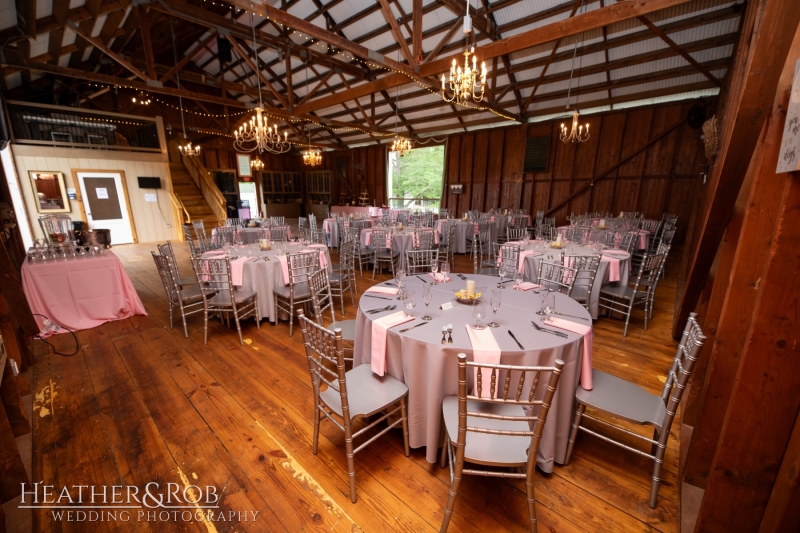 Laura-Nick-Wedding-Sneak-Peek-Crown-Rose-Estate-Knoxville-Maryland-121