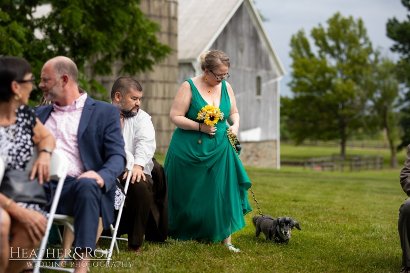 Laura-Nick-Wedding-Sneak-Peek-Crown-Rose-Estate-Knoxville-Maryland-128