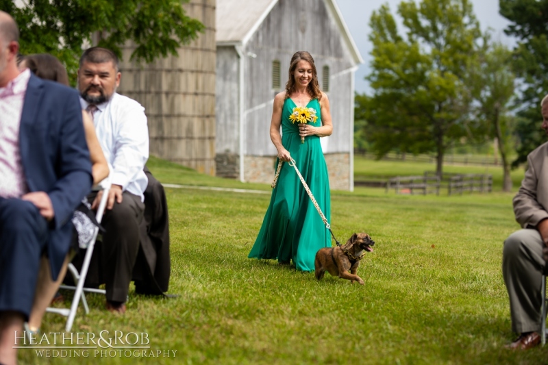 Laura-Nick-Wedding-Sneak-Peek-Crown-Rose-Estate-Knoxville-Maryland-129