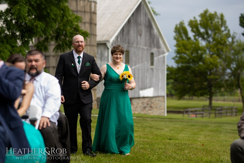 Laura-Nick-Wedding-Sneak-Peek-Crown-Rose-Estate-Knoxville-Maryland-132