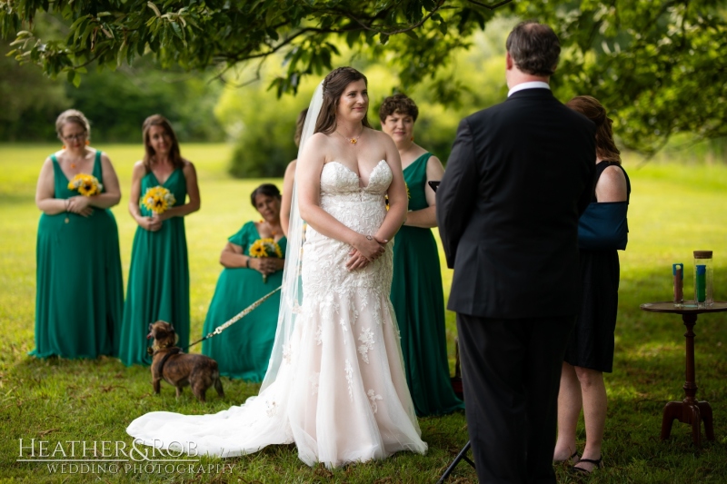 Laura-Nick-Wedding-Sneak-Peek-Crown-Rose-Estate-Knoxville-Maryland-140