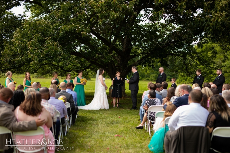 Laura-Nick-Wedding-Sneak-Peek-Crown-Rose-Estate-Knoxville-Maryland-142