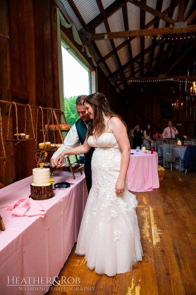 Laura-Nick-Wedding-Sneak-Peek-Crown-Rose-Estate-Knoxville-Maryland-185